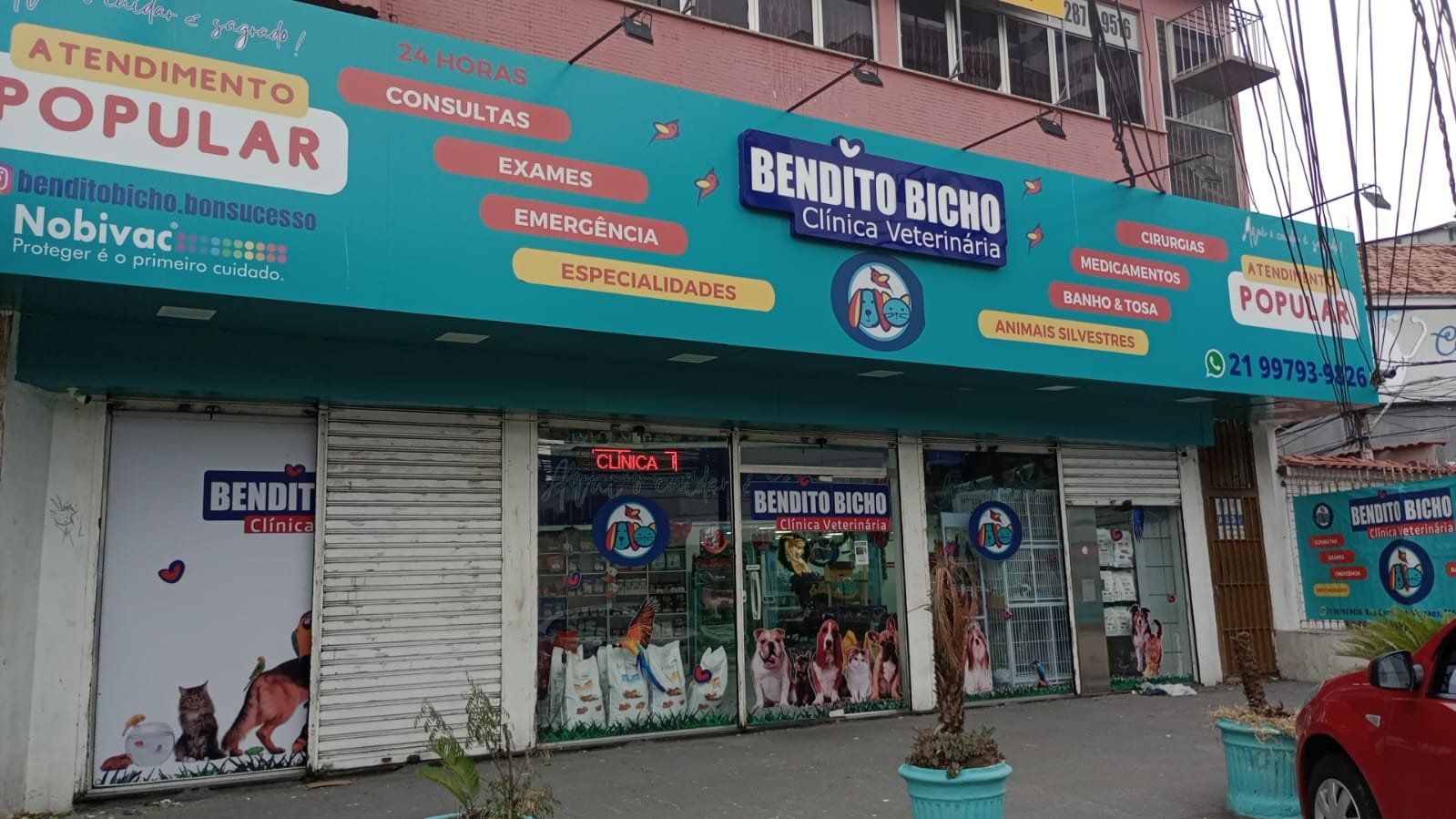 Bendito Bicho Bonsucesso - Imagem 2