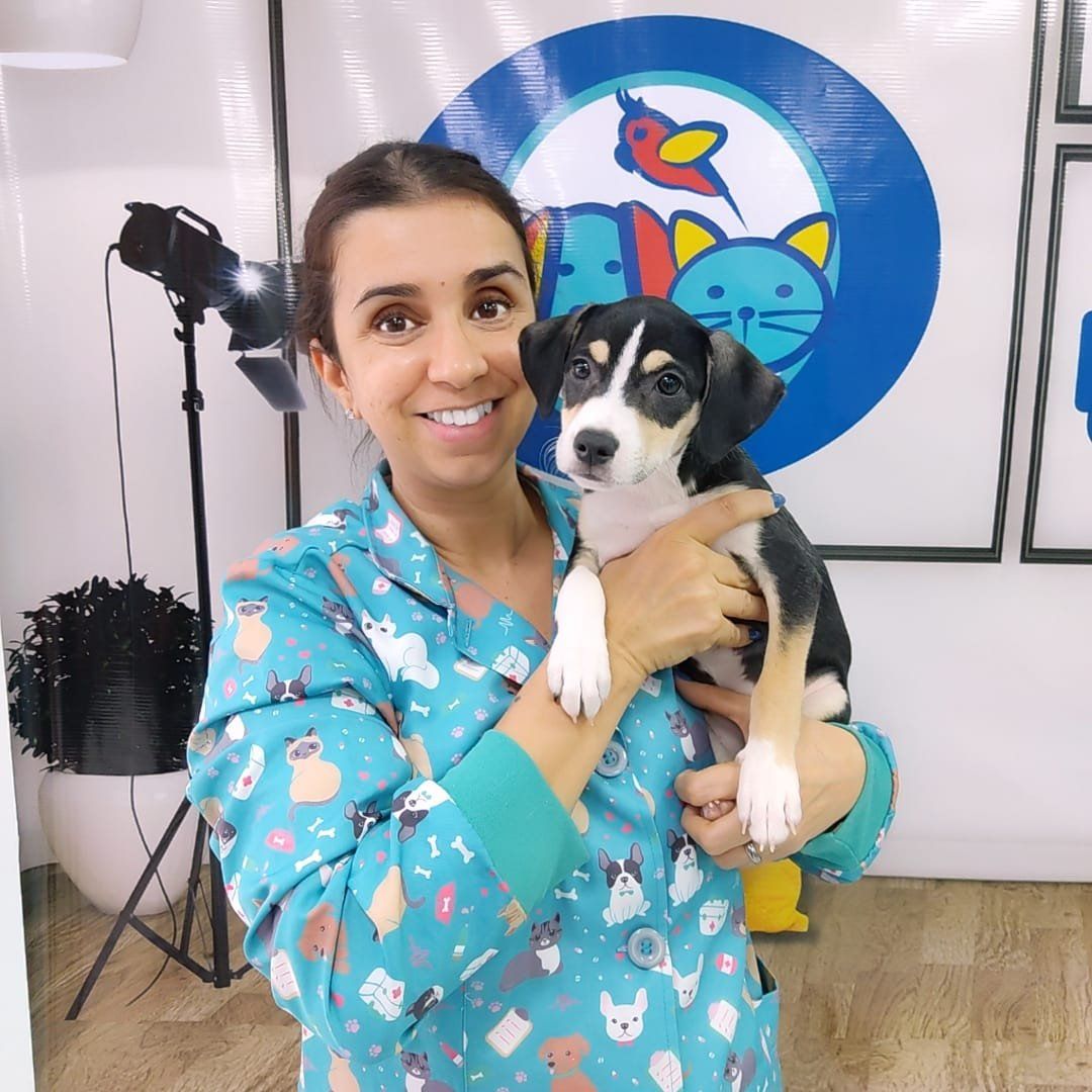 Bendito Bicho Bonsucesso - Imagem 1