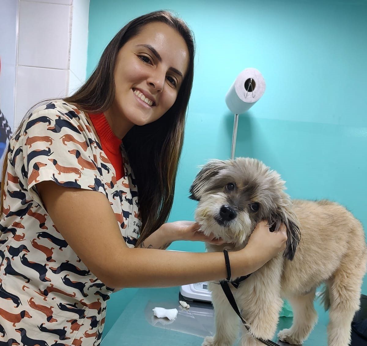 Bendito Bicho Bonsucesso - Imagem 3